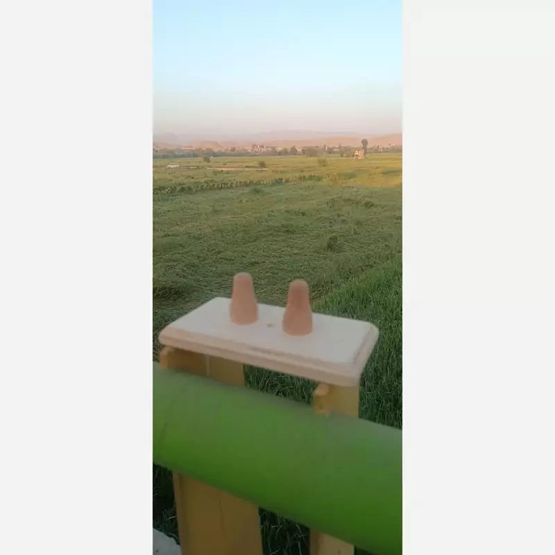 تنسون snpe، اصل، درجه یک، اورجینال، همراه با توپ ماساژ صورت هدیه و مهر برند snpe_bash