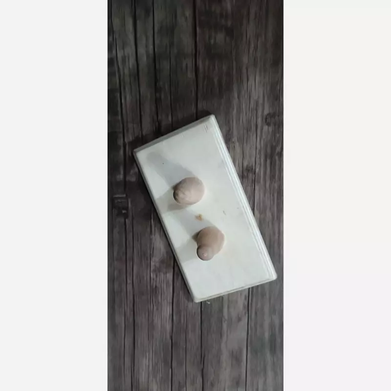 تنسون snpe، اصل، درجه یک، اورجینال، همراه با توپ ماساژ صورت هدیه و مهر برند snpe_bash
