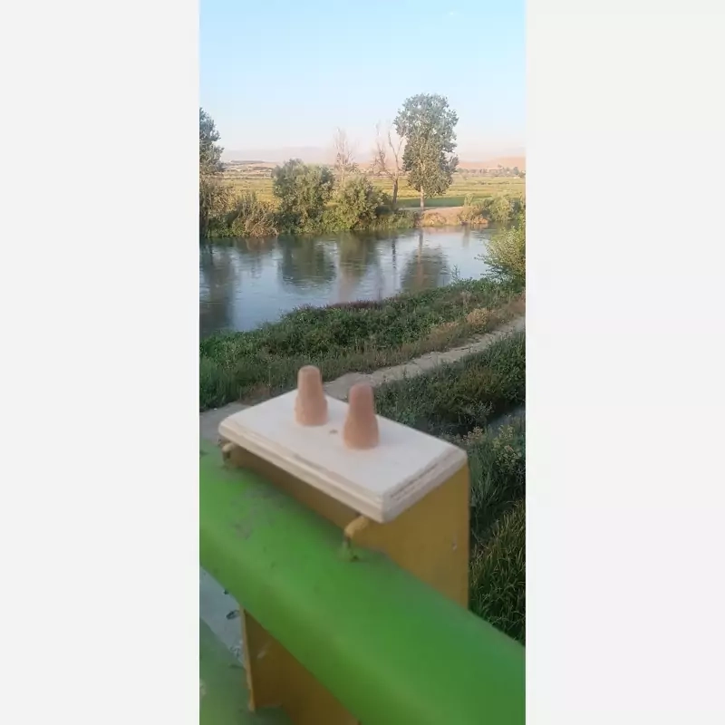 تنسون snpe، اصل، درجه یک، اورجینال، همراه با توپ ماساژ صورت هدیه و مهر برند snpe_bash