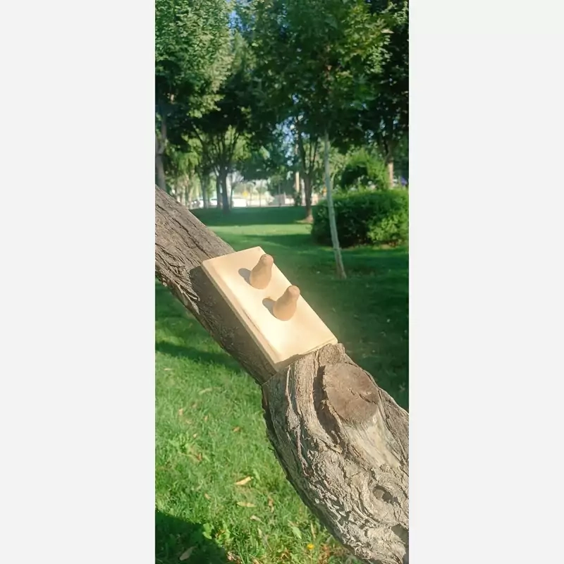 تنسون snpe، اصل، درجه یک، اورجینال، همراه با توپ ماساژ صورت هدیه و مهر برند snpe_bash