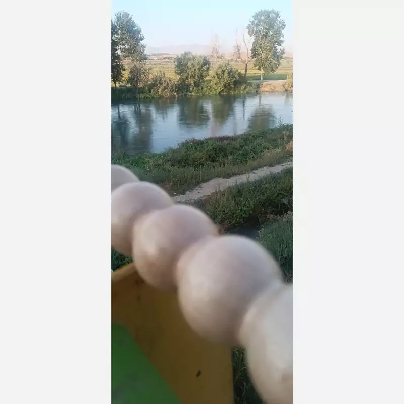 وردنه موجدار snpe ، اصل ، درجه یک ، اورجینال ، همراه با توپ ماساژ صورت هدیه و مهر برند snpe_bash