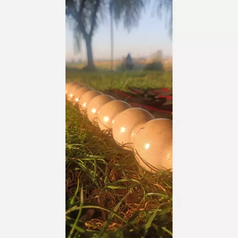 وردنه موجدار snpe ، اصل ، درجه یک ، اورجینال ، همراه با توپ ماساژ صورت هدیه و مهر برند snpe_bash