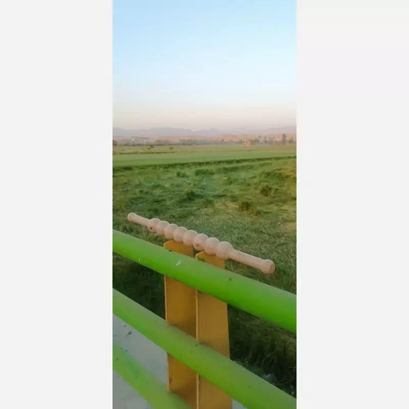 وردنه موجدار snpe ، اصل ، درجه یک ، اورجینال ، همراه با توپ ماساژ صورت هدیه و مهر برند snpe_bash