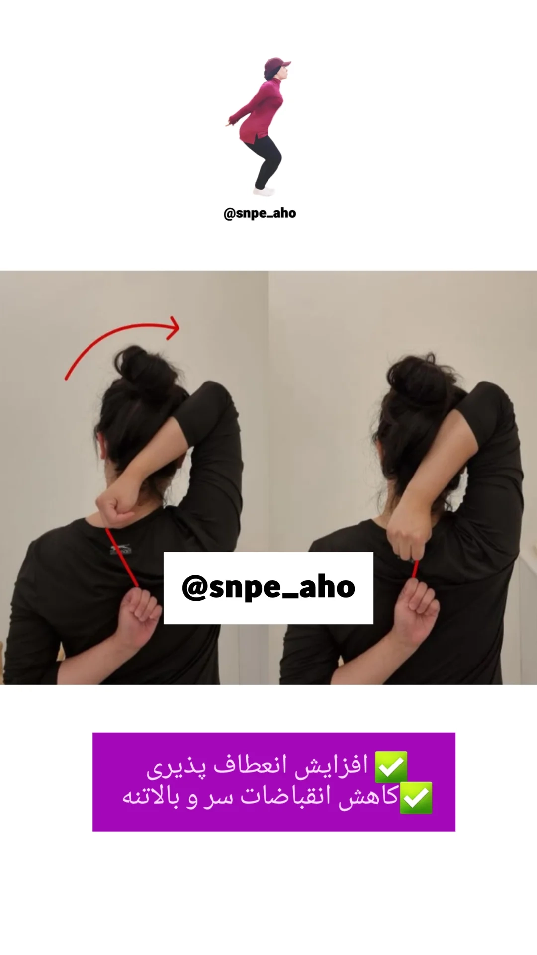 آموزش جامع و کامل ورزش اصلاحی کره ای SNPE توسط مربی برتر آهو