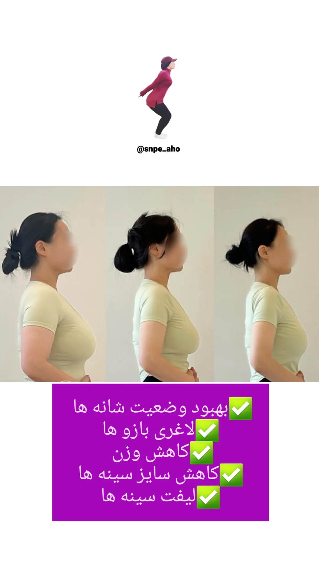 آموزش جامع و کامل ورزش اصلاحی کره ای SNPE توسط مربی برتر آهو